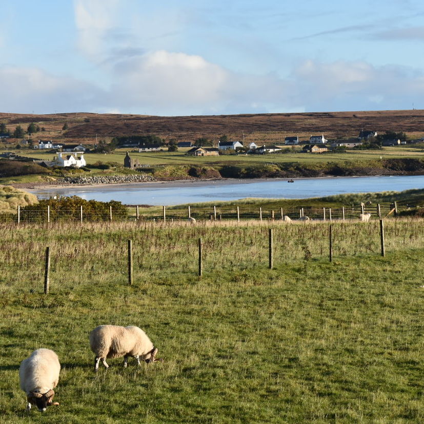 Back machair